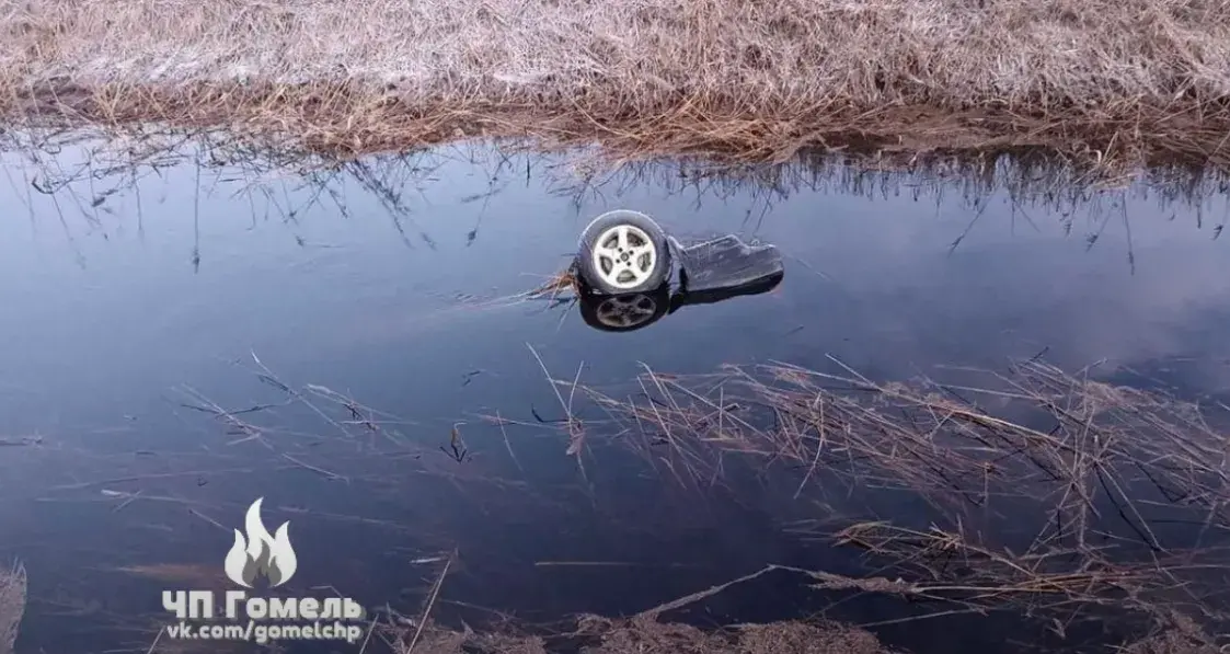 Под Гомелем автомобиль вылетел в канаву с водой — водитель погиб