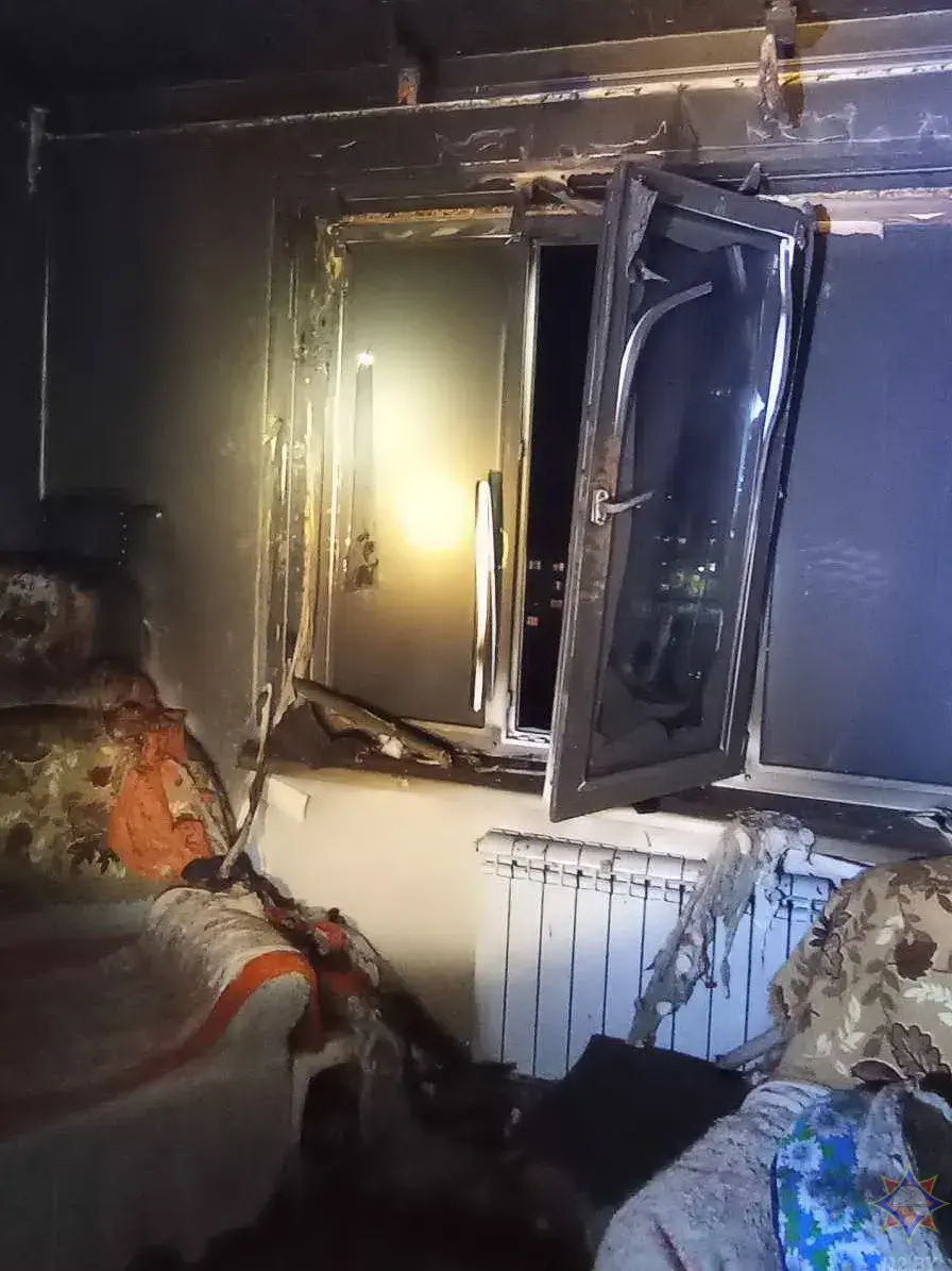 На пажары ў Бабруйску загінула пенсіянерка і 18 яе катоў