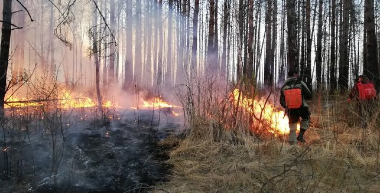 Пажар у Столінскім раёне заняў ужо 400 га, яго тушаць з верталётаў