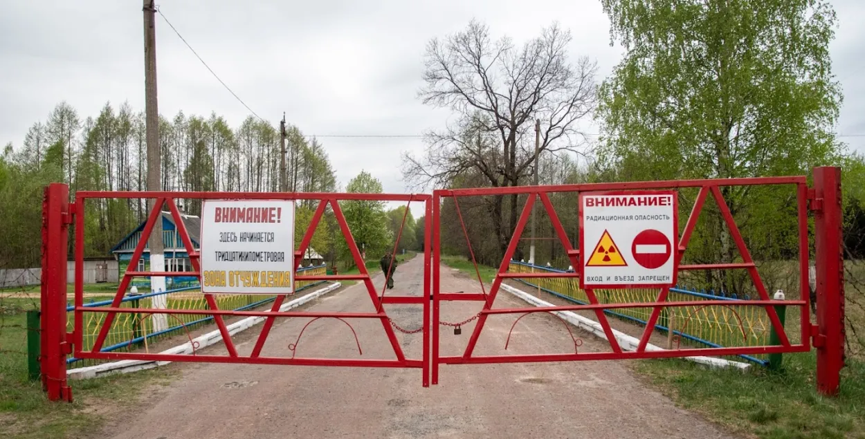 В Чернобыльской зоне / Из архива Еврорадио