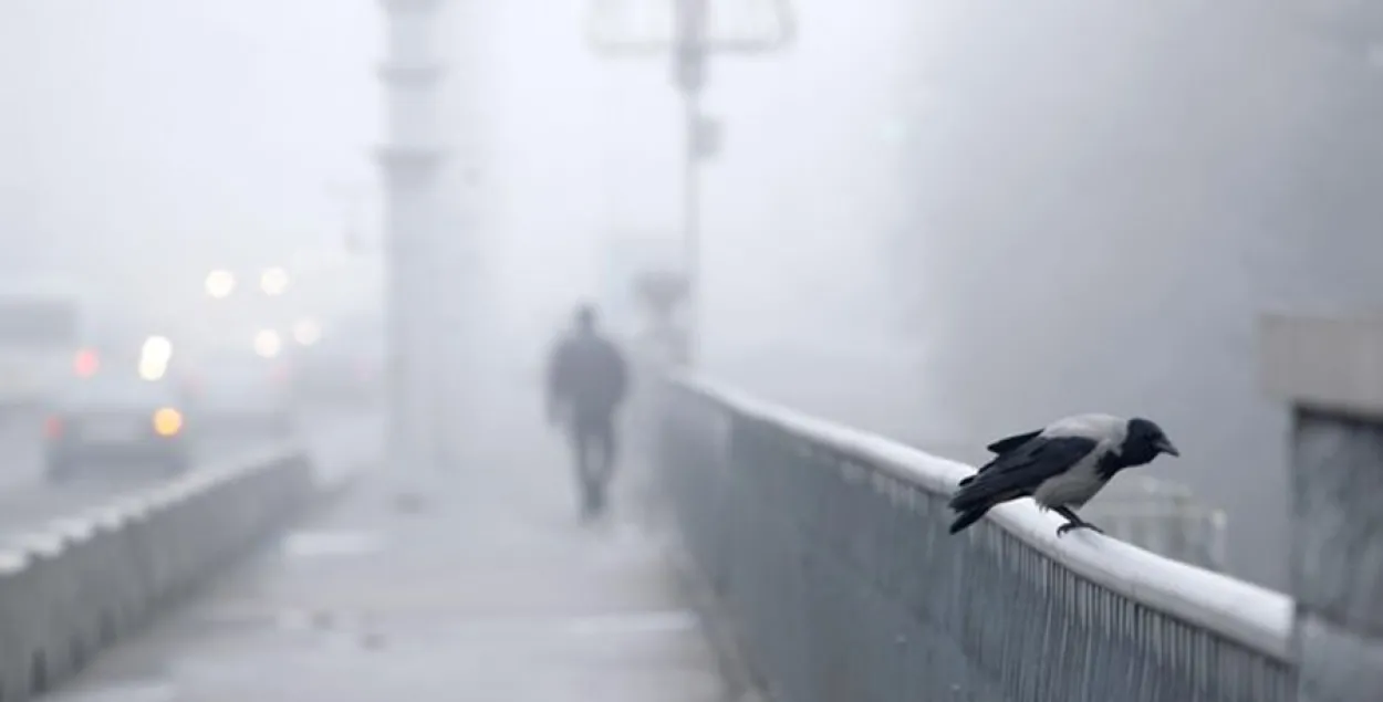 10 сакавіка ў Беларусі прагназуюць дождж і слабы туман 