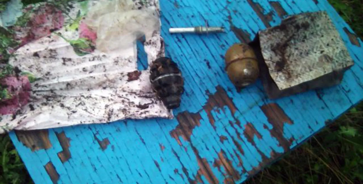 На Міншчыне затрымалі наркамана з дзвюма гранатамі (фота, відэа)