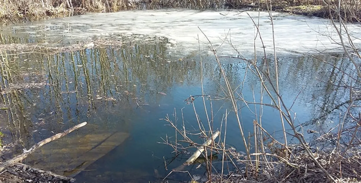 У Шумілінскім раёне 8-гадовы хлопчык праваліўся пад лёд
