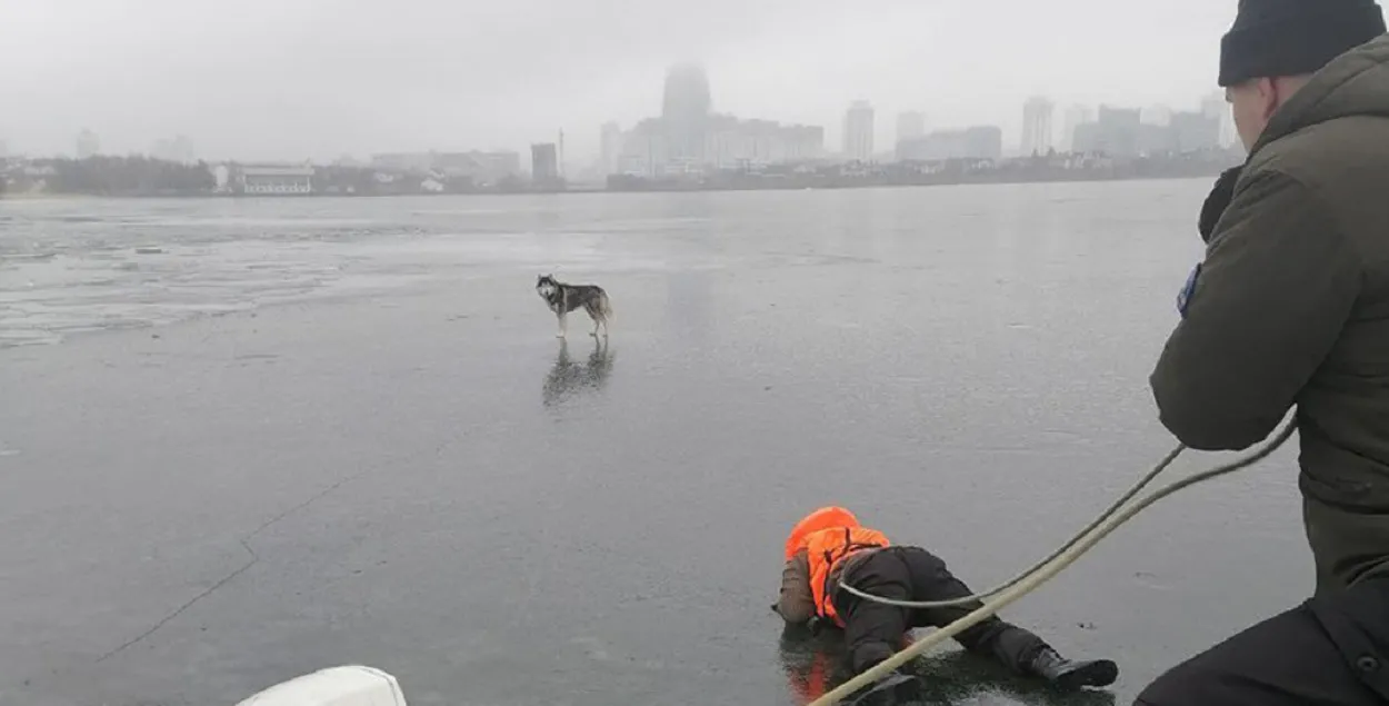 Чтобы добраться до собаки, спасатель полз по льду
