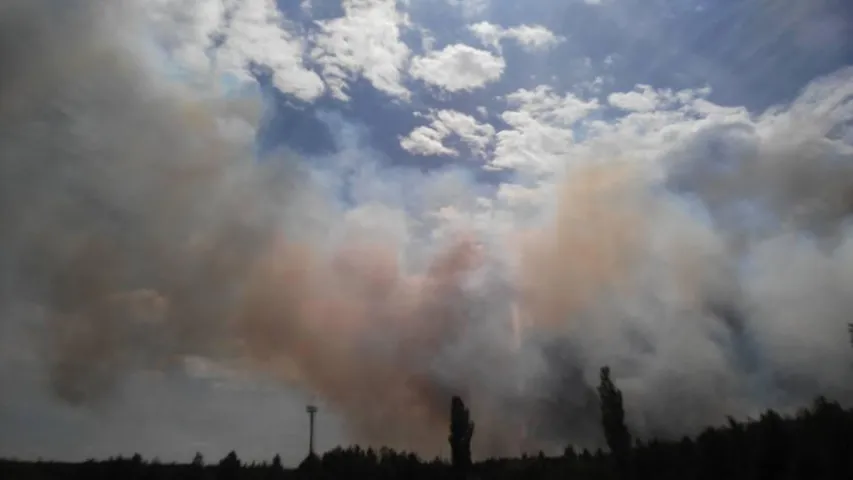 Маштабны пажар у Чарнобыльскай зоне каля "радыяцыйнага лесу" (фота)