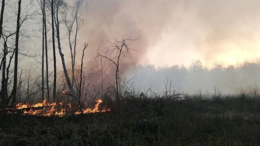 Пажар у Столінскім раёне заняў ужо 400 га, яго тушаць з верталётаў