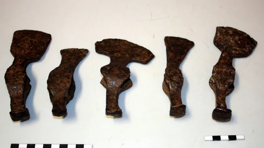 Палякі затрымалі беларуску з 5 старажытнымі сякерамі (фота)
