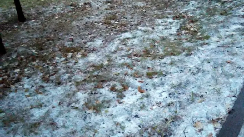 У Гомелі паваліў моцны снег (фота, відэа)
