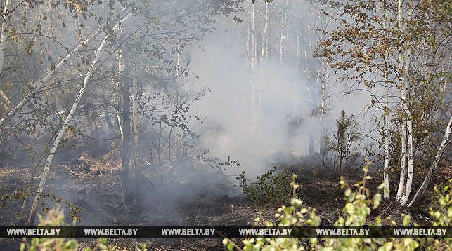 У Жлобінскім раёне падчас тушэння ляснога пажару загінуў ратавальнік