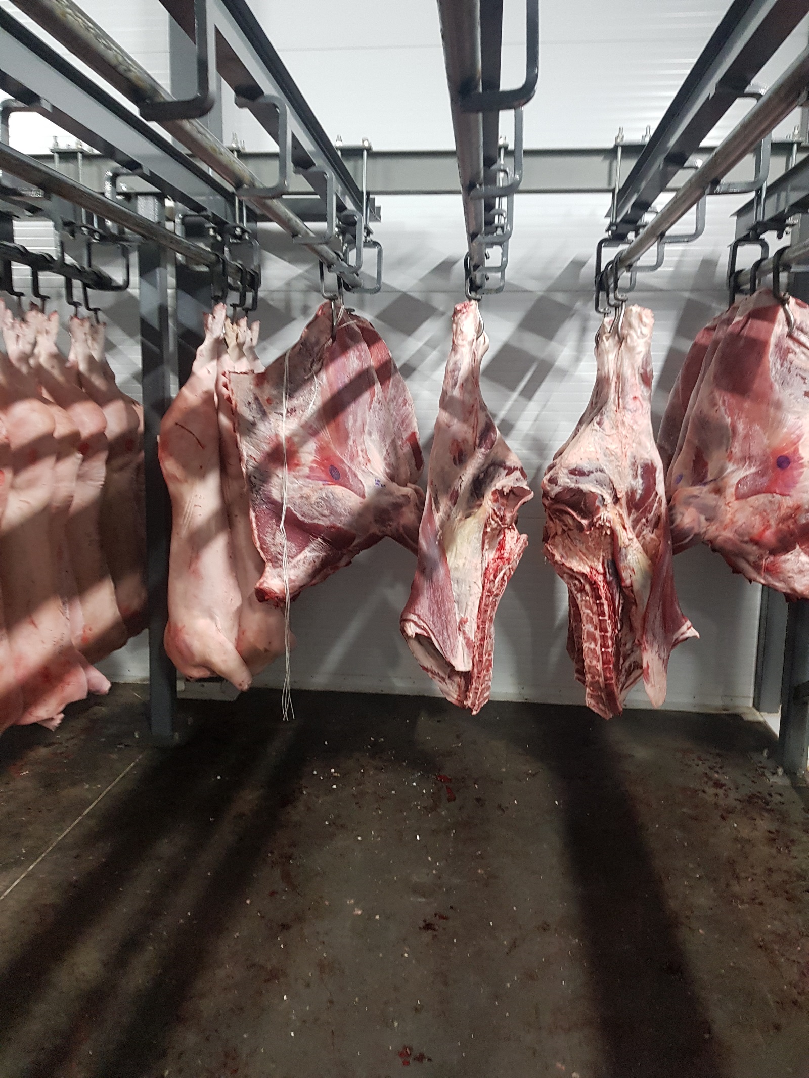 15 тон мяса з Беларусі для Казахстана знайшлі ў Санкт-Пецярбургу