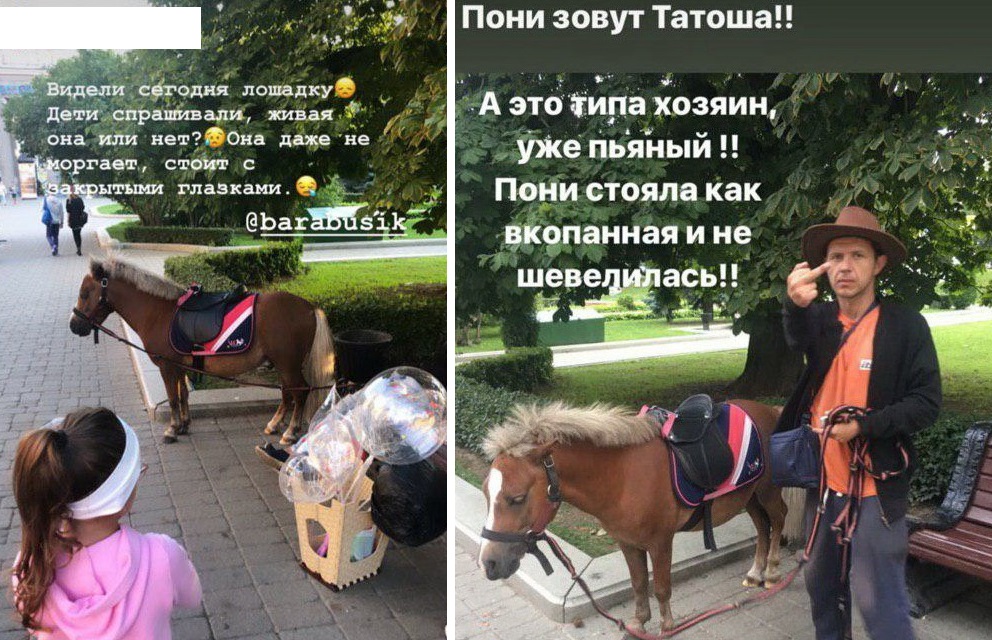 Минчане спасают пони из парка Горького: в ноябре он ночует на улице под балконом