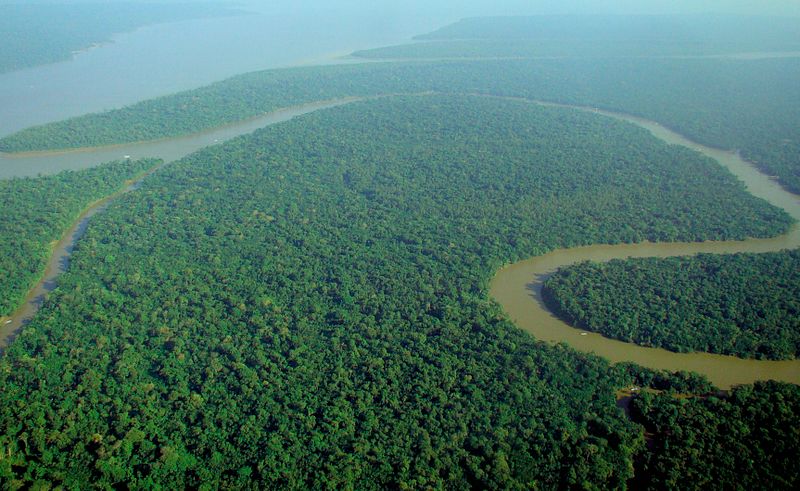 В мире неспокойно: Амазонка теряет леса, Австрия садится на карантин