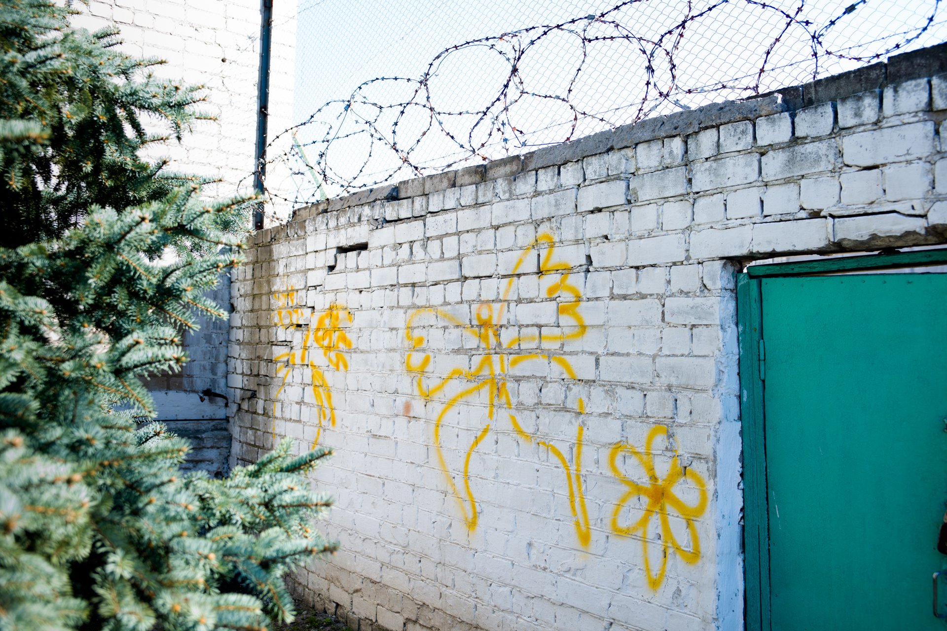 "Женщина в тюрьме — это табу и позор семьи" — фотопроект Миши Фридмана