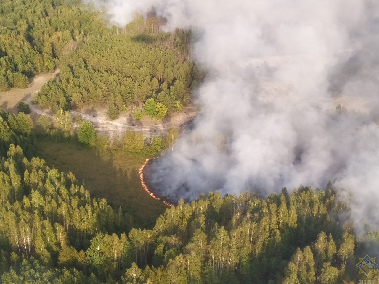 Украинка из мести подожгла лес в Чернобыльской зоне, пожар добрался до Беларуси