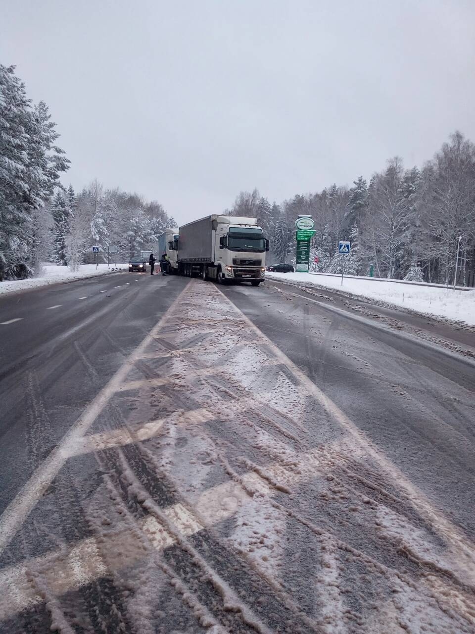 Трасу "Мінск — Віцебск" перабягаў сабака, сутыкнуліся дзве фуры