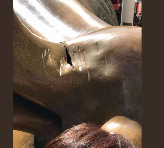 Знакаміты бык на Уол-стрыт у Нью-Ёрку пацярпеў ад рук вандала
