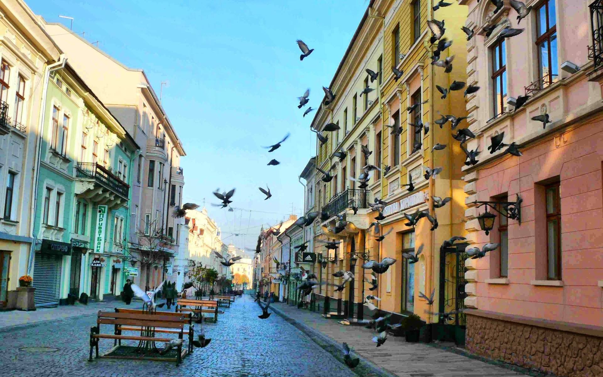 11 городов, которые помогут понять Украину