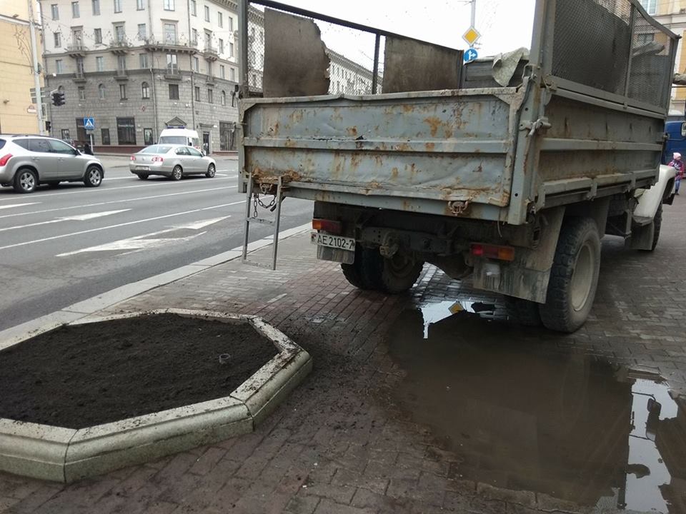 На проспекте Независимости в Минске снова пересаживают деревья
