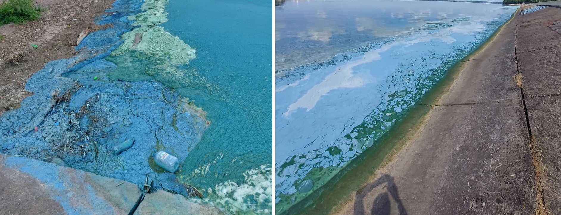 Можно наглотаться патогенов: стоит ли лезть в зелёную воду на Минском море