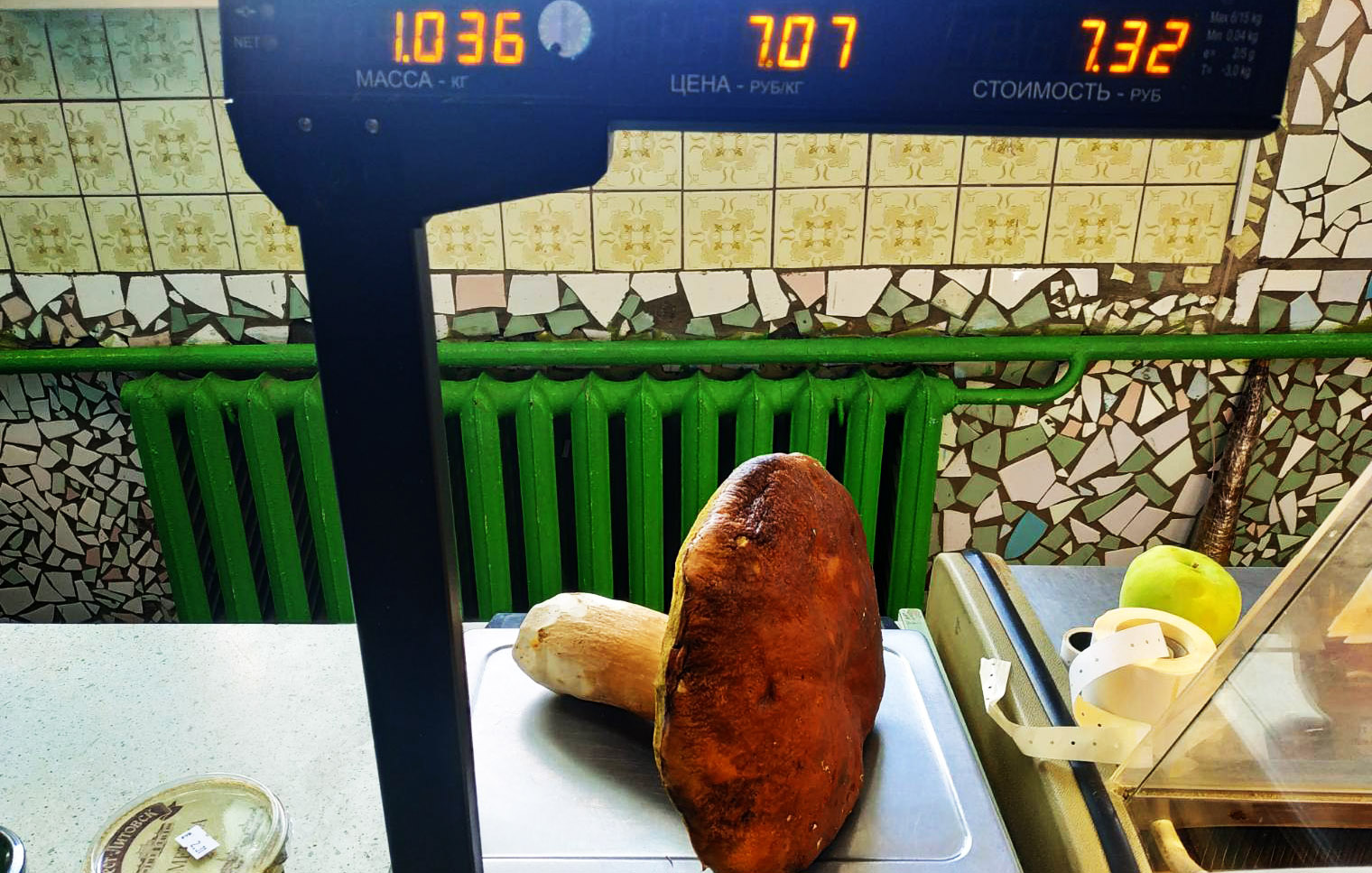 Белорус нашел боровик весом более одного килограмма