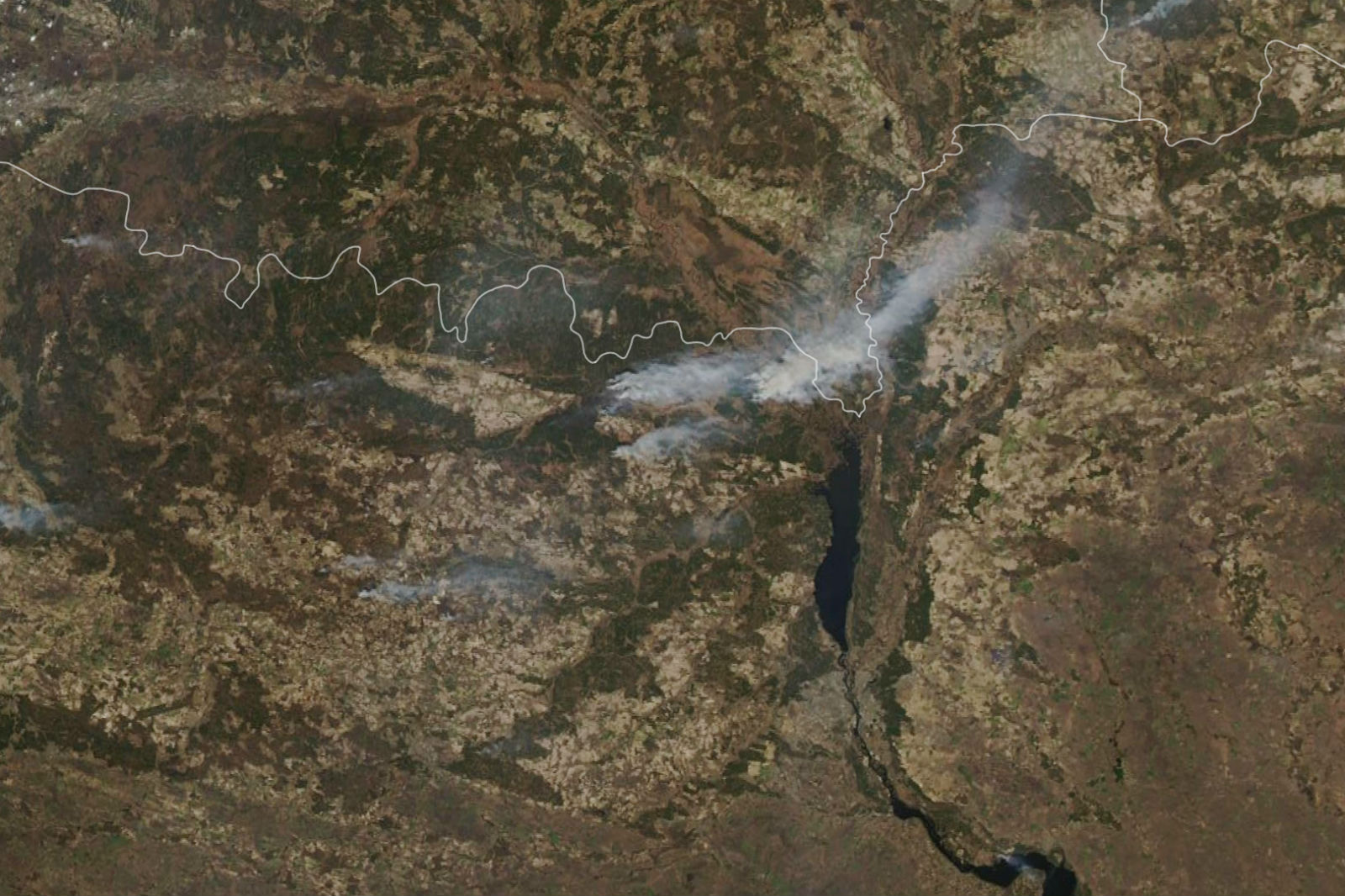 Спадарожнікі NASA знялі пажары ў Чарнобыльскай зоне на мяжы Беларусі і Украіны