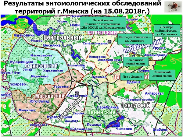 Абноўлена карта распаўсюду кляшчоў у Мінску