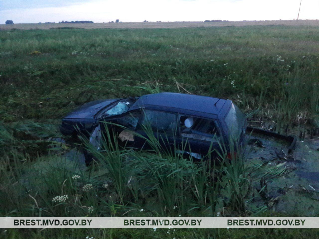 Под Брестом машина сбила лося: животное погибло, водитель в реанимации  (фото) | Новости Беларуси | euroradio.fm