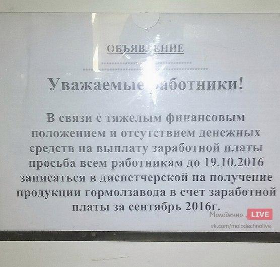 У Маладзечне частку заробку выдаюць малаком, у Хоцімскім раёне — мясам