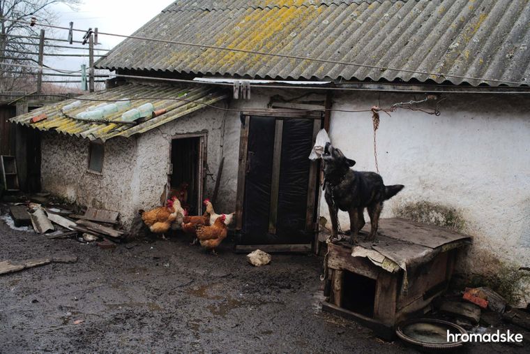 Тут сараи были. Кухня была. Нема! — как живёт самое изолированное село Донбасса