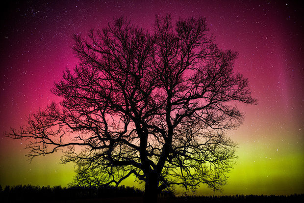 Блогер Антон Матолька судзіцца з БТ за свае фота