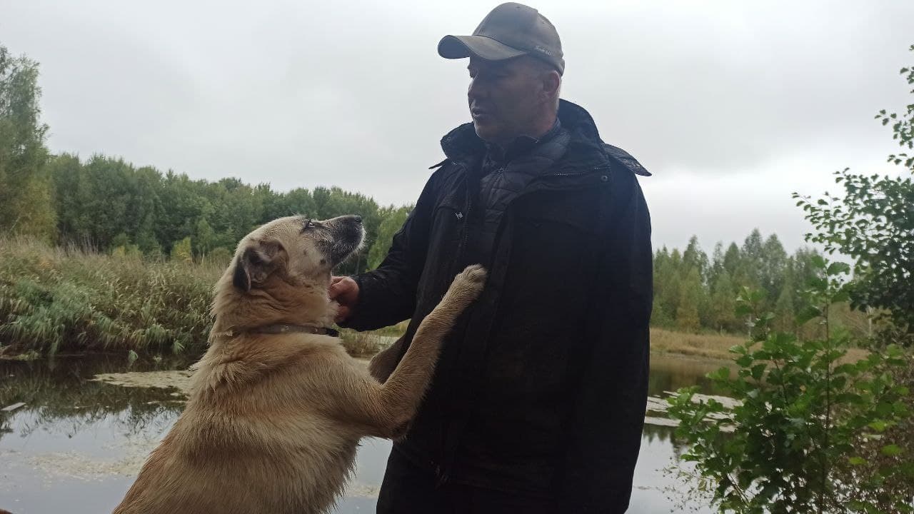 “Всех собак повесили на папу”. История белоруса, который приютил сотни собак