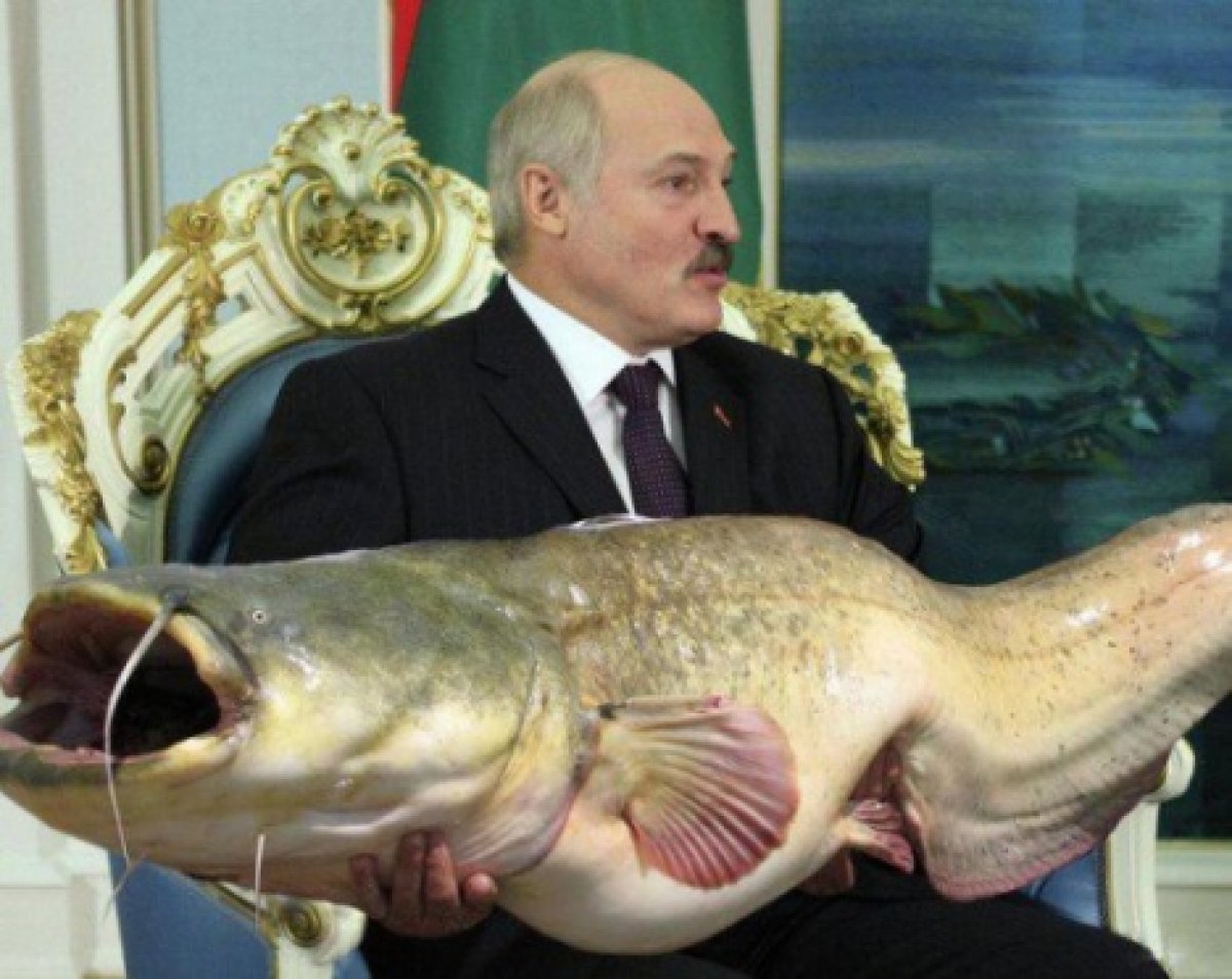 Лукашенко рассказал министрам, как и рыбку съесть, и в своём кресле усидеть