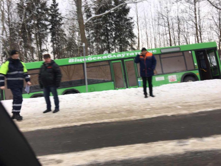 У Полацкім раёне аўтобус з пасажырамі апынуўся ў кювеце (фота)