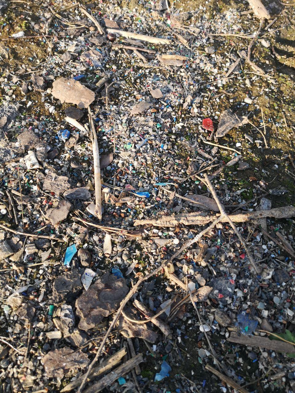 Посмотрите, сколько пластика на берегах Немана. Недавно там массово гибла рыба
