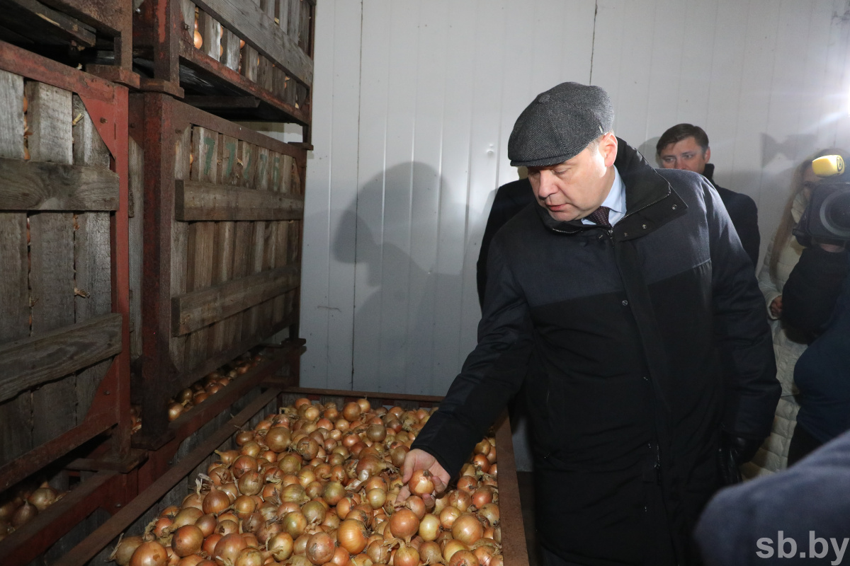 Совмин вводит разовые лицензии на вывоз из Беларуси лука, капусты и яблок