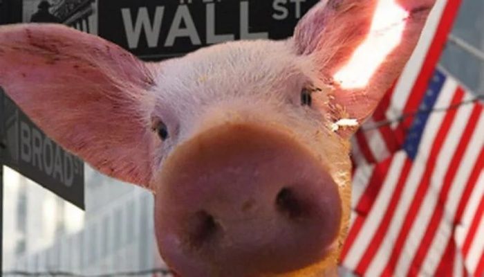“Раффаэллки” и живые свиньи: что перестанут ввозить в Беларусь с 1 января