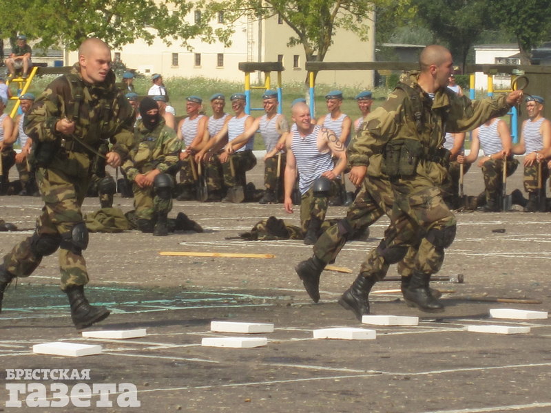 На показательных выступлениях брестские десантники разрывали ужей и лягушек