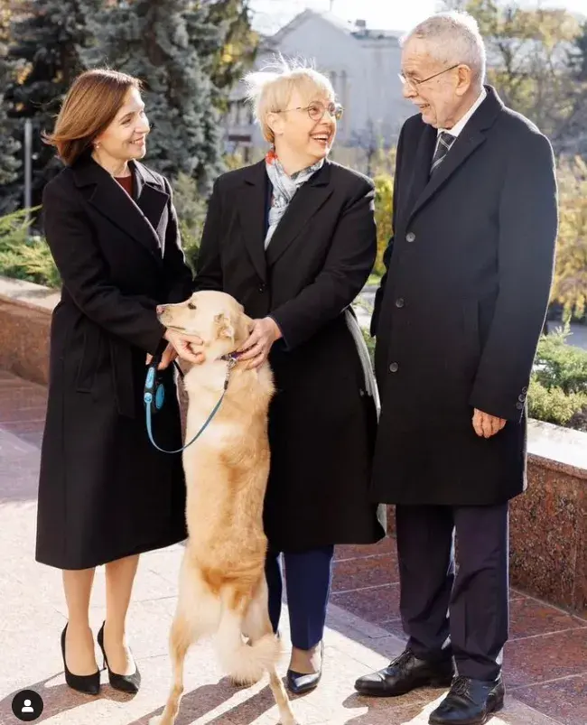 Президента Австрии в Молдове, куда он приехал с визитом, укусила собака