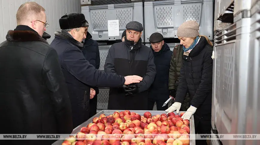Беларусь уводзіць ліцэнзаванне на вываз за мяжу цыбулі і яблыкаў