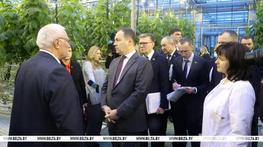 Галоўчанка агучыў версію, чаму беларусы гэтай зімой з'елі значна больш гуркоў