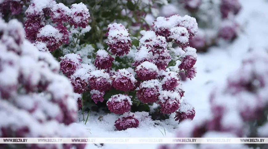 У сераду Мінск засыпала снегам