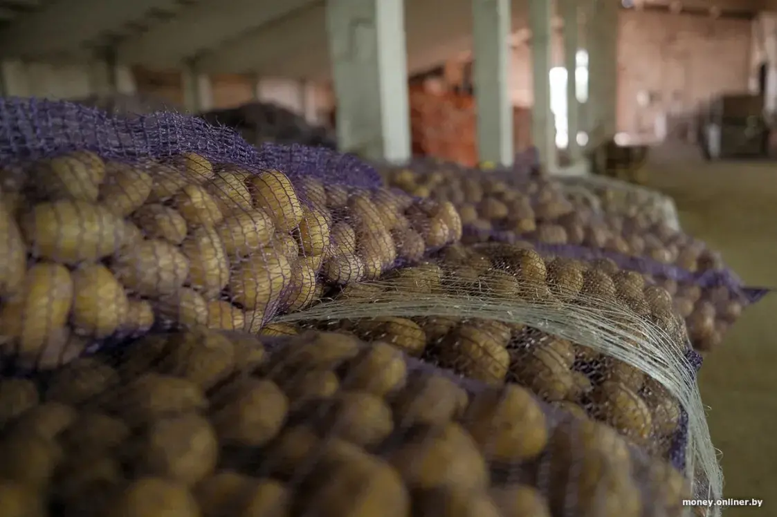 Путь Лукашенко к “справедливым” ценам. Что он наговорил за 20 лет