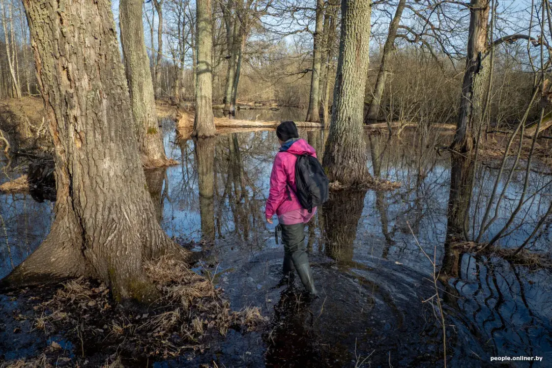 Половодье Припяти — на красивых фото