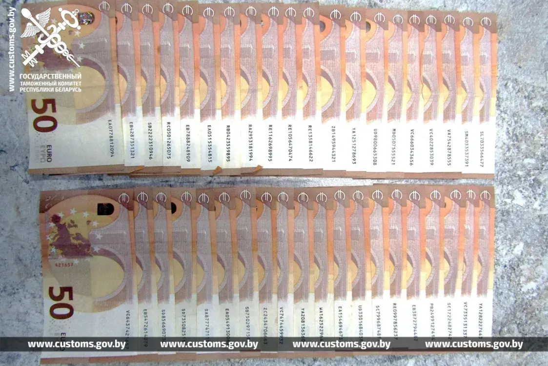 У пасылцы з Грэцыі ў Беларусь знайшлі 14 тысяч еўра