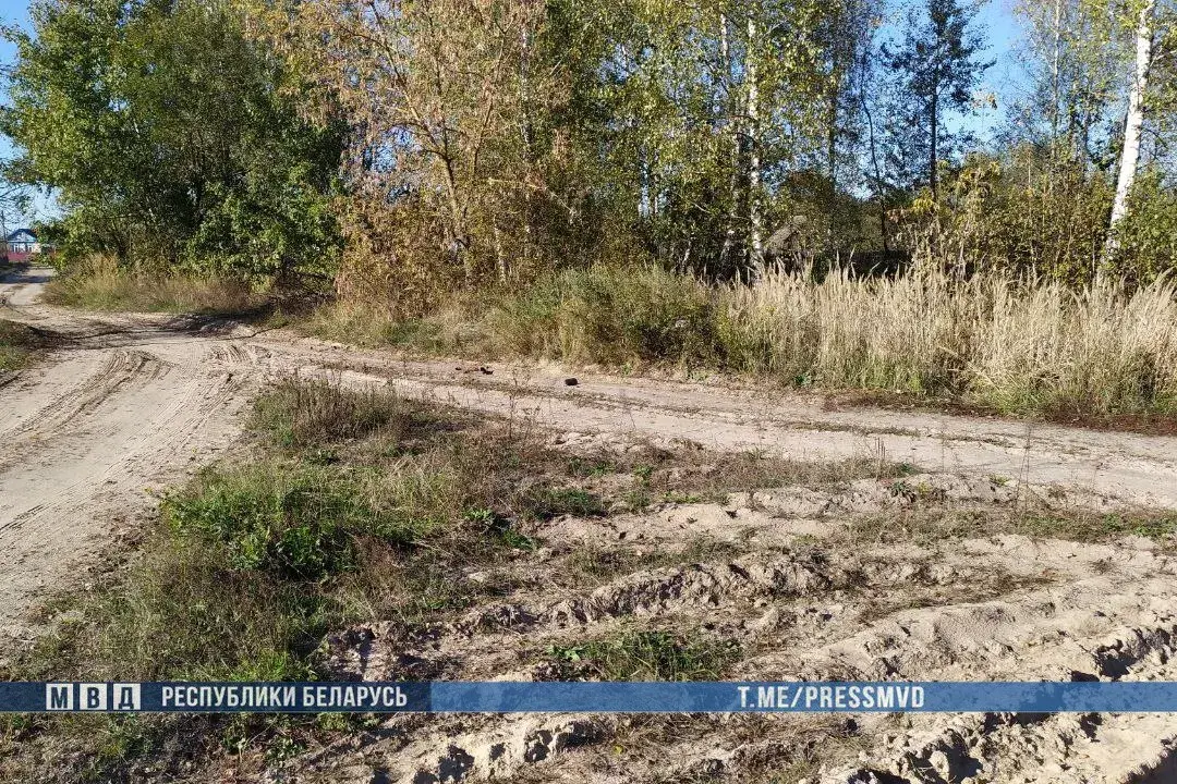 У Петрыкаўскім раёне пад коламі грузавіка МАЗ загінула дзіця