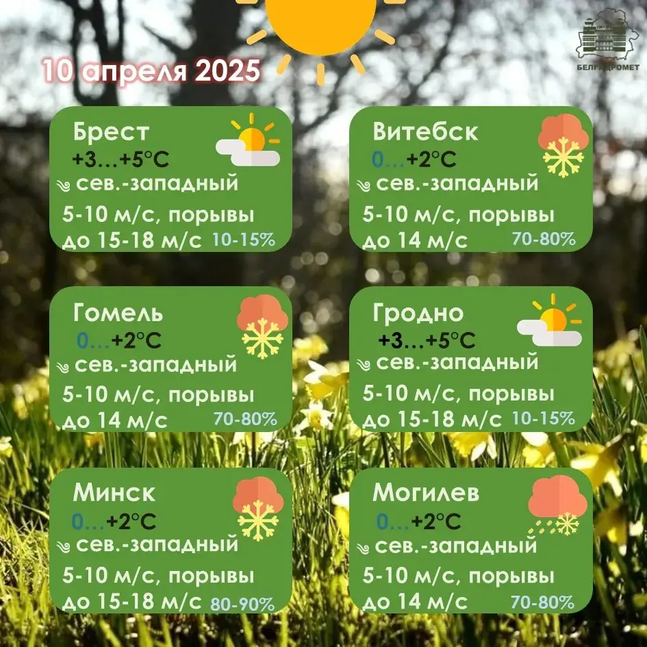 У чацвер амаль па ўсёй Беларусі прагназуецца снег