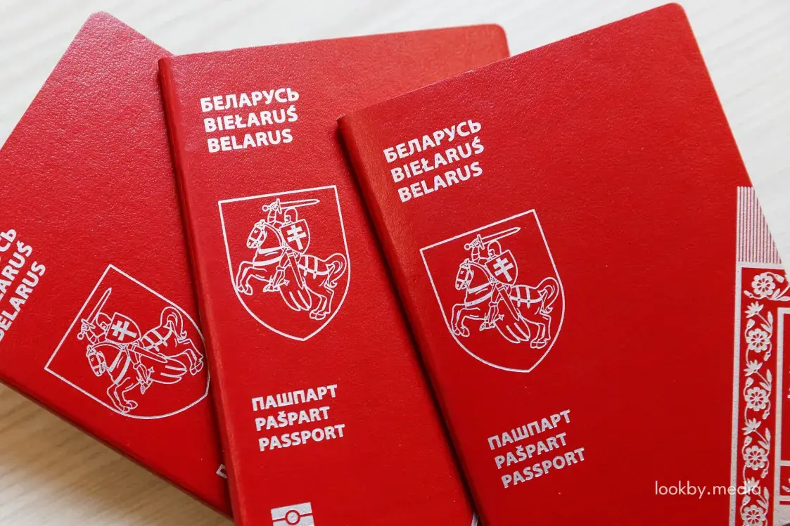 Данные паспортов на выборах в КС доверили фирме россиян с утечкой данных — СМИ