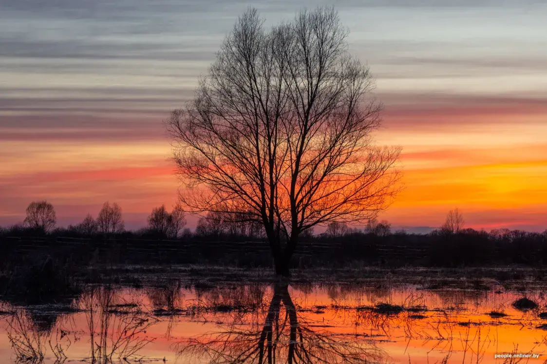 Половодье Припяти — на красивых фото
