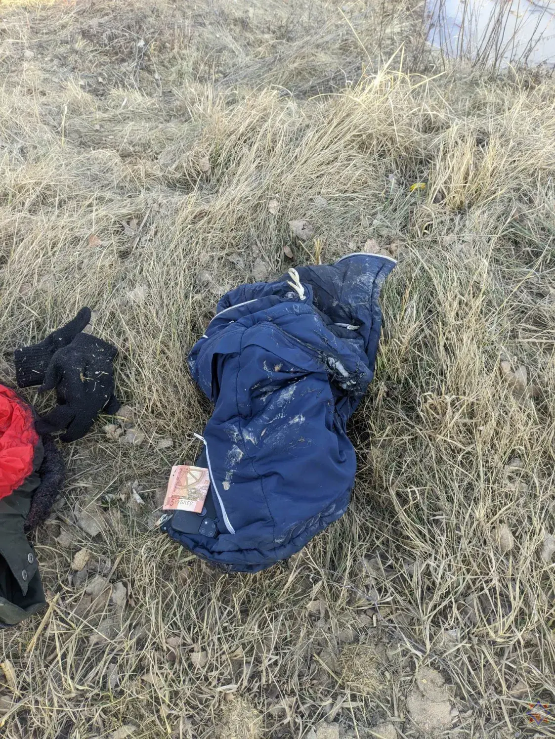 У Бабруйскім раёне падлеткі тушылі пажар кока-колай