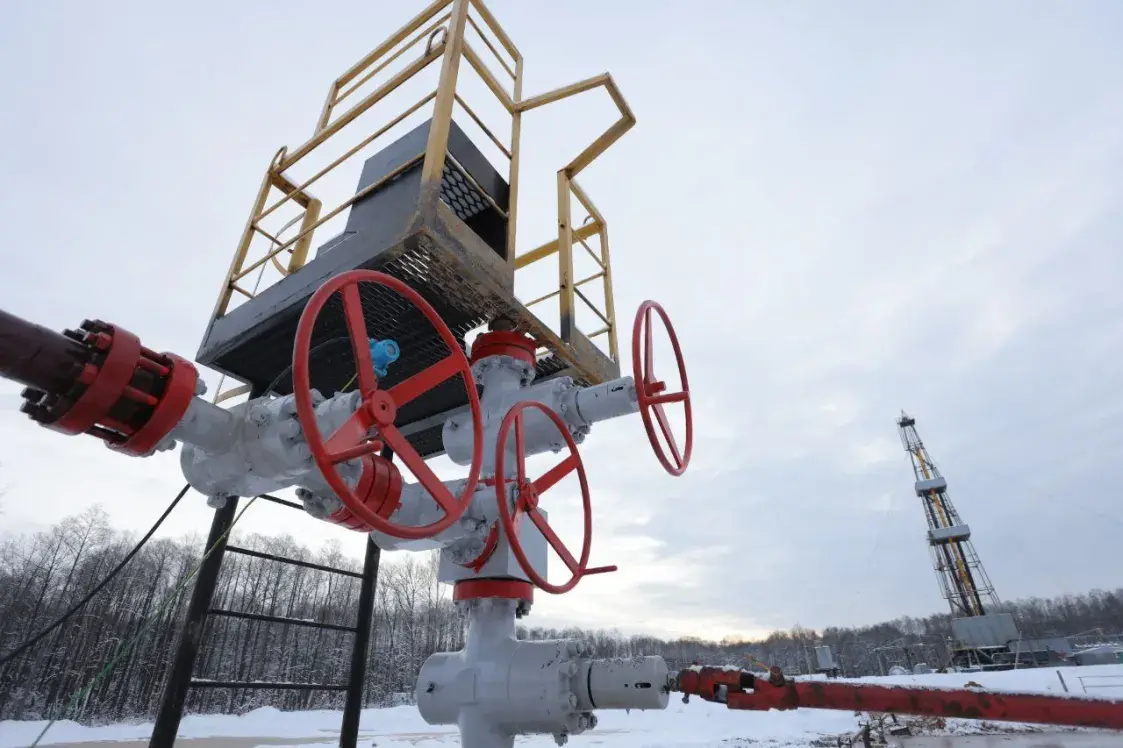 У Гомельскай вобласці знайшлі новае радовішча нафты